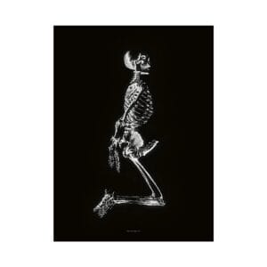 Büro Destruct - Homo Erectus: La Petite Mort Poster