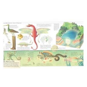 Alternative view of Norman Messenger - The Land Of Neverbelieve (Das Land ManGlaubtEsKaum)